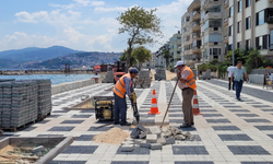 Büyükşehir, Bursa'da peyzaj çalışmalarını yeniden düzenliyor