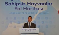 Ekrem İmamoğlu: Tek bir hayvanın bile uyutulmasına izin vermeyeceğiz