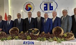 Aydın'da sezonun ilk kestaneleri kilogramı 500 liradan satıldı