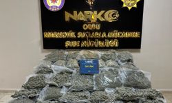 Ordu'da 68 kilo 500 gram skunk ele geçirildi