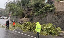 Zonguldak'ta kuvvetli yağış hayatı olumsuz etkiliyor