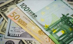 Euro ve dolar güne düşüşle başladı!