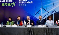 Eksim Enerji 2029'a kadar 1340 megavatlık yenilenebilir enerji projesi hedefliyor