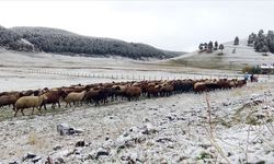 Türkiye’nin çeşitli şehirlerinde mevsimin ilk karı yağdı