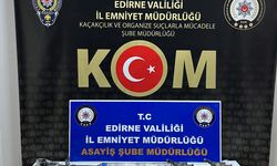 Edirne'de change oto şebekesine operasyon