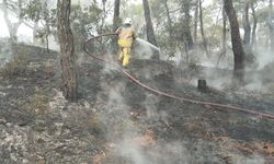 Heybeliada'da ormanlık alanda çıkan yangın kontrol altına alındı