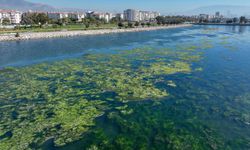 Bakanlıktan yeni proje! İzmir Körfezi nefes alacak