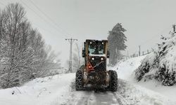 Bugün Ardahan’da Okul Var mı, Tatil mi (29 Kasım)? Ardahan Okulları Resmi Tatil mi?