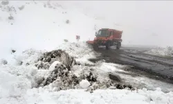 Van Bahçesaray Yolu Karla Kapanınca Ekipler Seferber Oldu