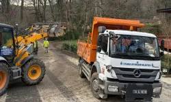 İstanbul Büyükşehir Belediyesi'nden Belgrad Ormanı açıklaması