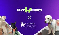 Haytap ve Bithero Kripto güçlerini birleştirdi