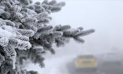 Termometrelerin eksi 22'yi gösterdiği Erzurum gece buz kesti