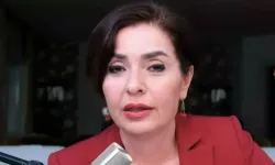 Gazeteci Özlem Gürses hakkında ev hapsi kararı verildi