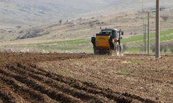 Tarım Ürünleri Üretici Fiyat Endeksi arttı