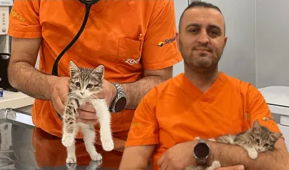 Tavuk gibi ses çıkaran kedi tedavi altına alındı