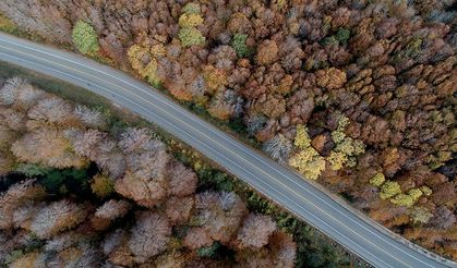 Istranca ormanlarında muhteşem sonbahar manzaraları