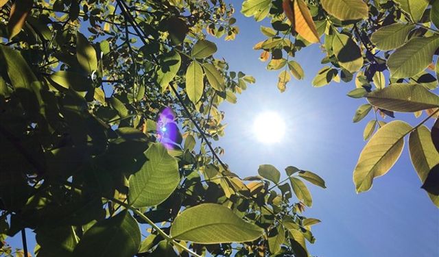 Hava sıcaklığı mevsim normalleri civarında seyredecek