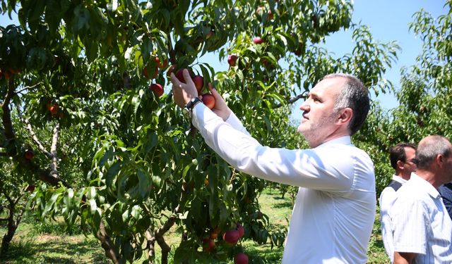 İnegöl Belediyesi çiftçinin yanında