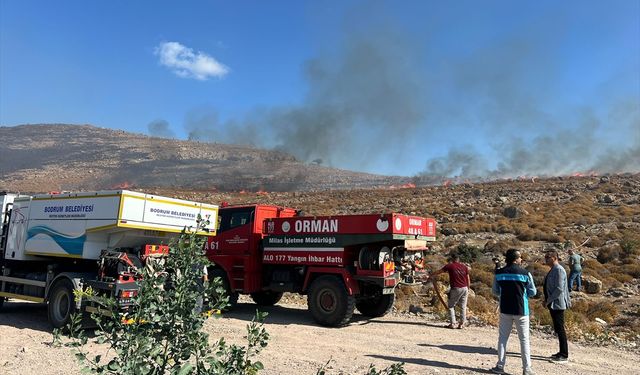 Bodrum'da otluk alanda çıkan yangın söndürüldü