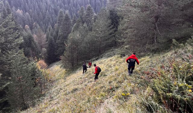 Bolu'da yaylada kaybolan yaşlı çift ölü bulundu