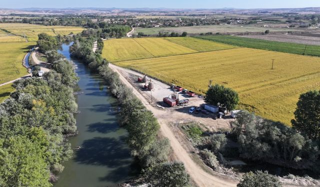 Edirne'de üreticilerin çeltik kurutma mesaisi başladı