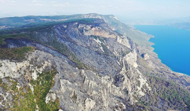 Menteşe'deki orman yangını kontrol altına alındı