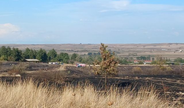 Tekirdağ'da ağaçlık alanda çıkan yangın söndürüldü