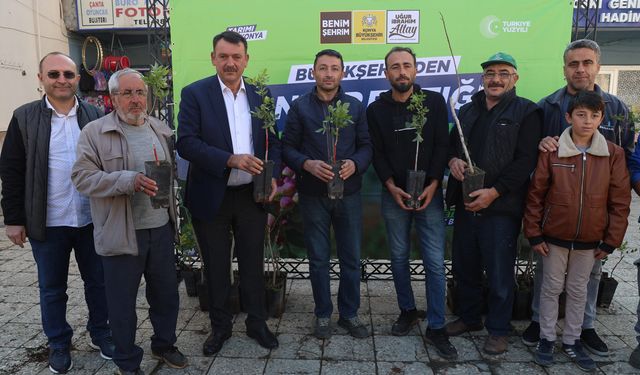 Konya'da pilot bölgelere Antep Fıstığı desteği