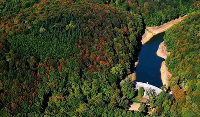 Belgrad Ormanı İmara Açıldı Mı? Son Durumu Ne? İddialar Doğru Mu?