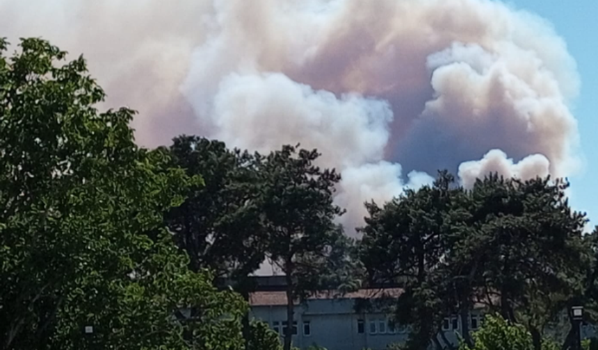 İzmir ve Manisa'da orman yangını