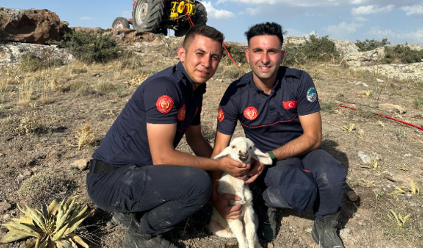 Kayseri'de itfaiye ekiplerinden 2,5 saatlik "kuzu kurtarma" çalışması