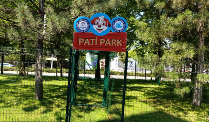 Eskişehir'de evcil hayvanlar için Pati Park yapıldı