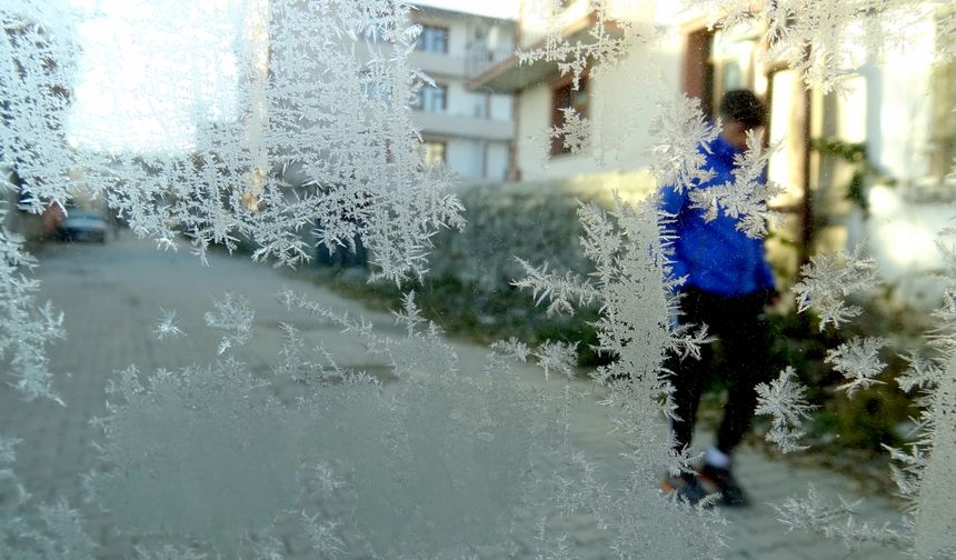 Kars ile Ardahan'da soğuk hava ve kırağı etkili oldu