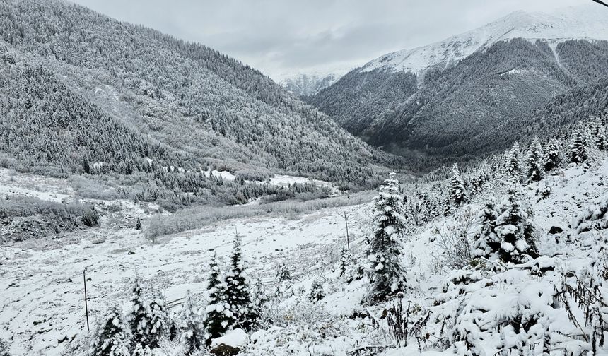 Rize'de yaylacıların köye dönüş yolculuğu devam ediyor