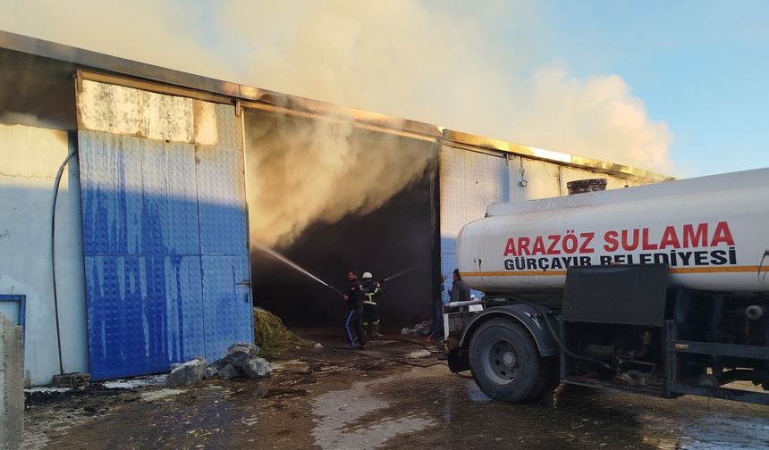 Yem deposunda çıkan yangında 20 bin balya saman ve iş makinesi yandı