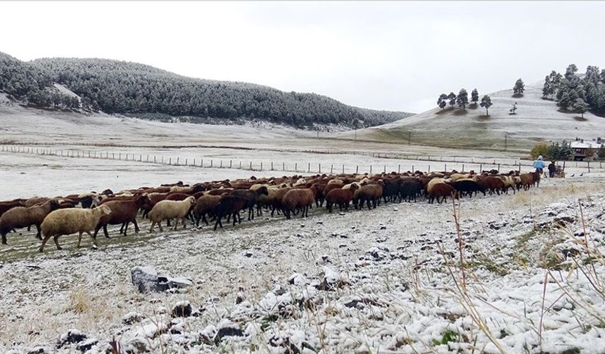 Türkiye’nin çeşitli şehirlerinde mevsimin ilk karı yağdı