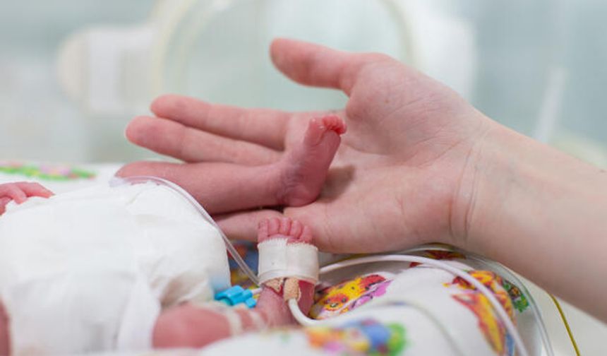 Ordu'da öğretmen çiftin prematüre ikizleri 16. ayına girdi