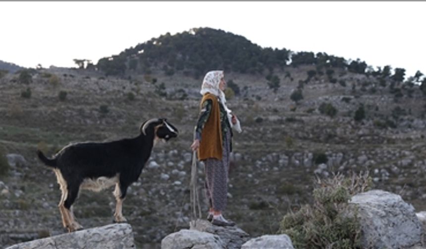 Antik kentin 45 yıllık çobanı Yörük Fatma, tarihle iç içe yaşıyor