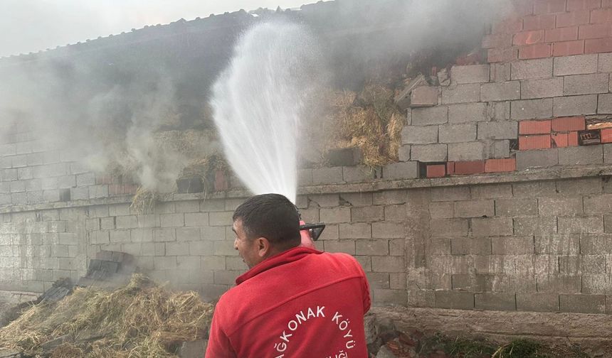 Besihanede çıkan yangında 12 küçükbaş hayvan öldü