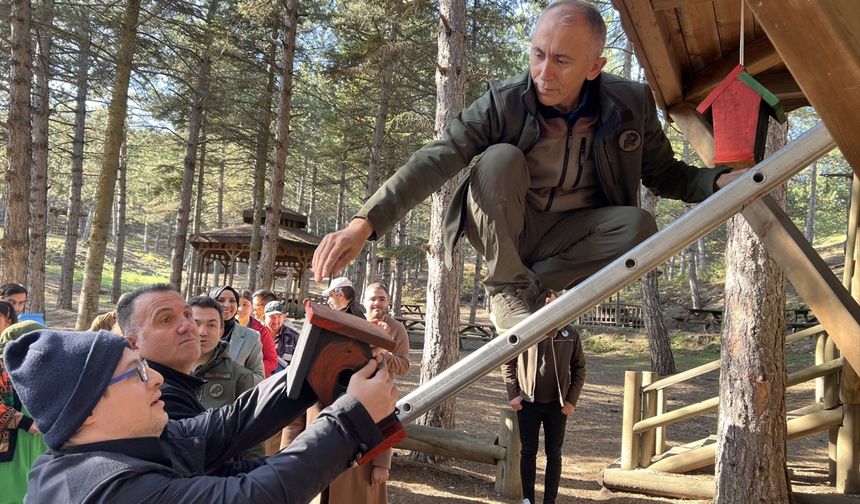 Engelli öğrencilerin boyadığı kuş evleri tabiat parkına yerleştirildi