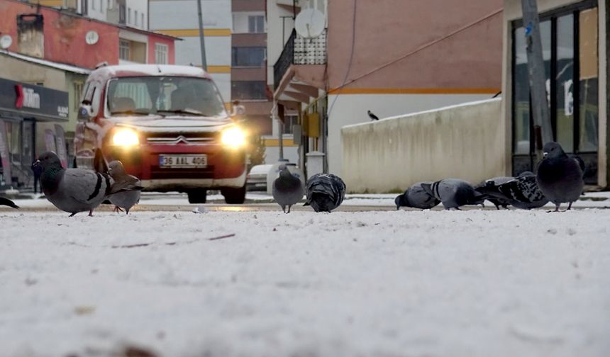 Kars, Ardahan, Ağrı ve Tunceli'de kar yağışı etkili oldu