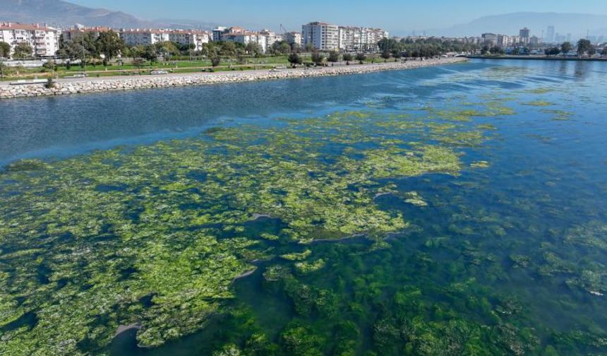 Bakanlıktan yeni proje! İzmir Körfezi nefes alacak