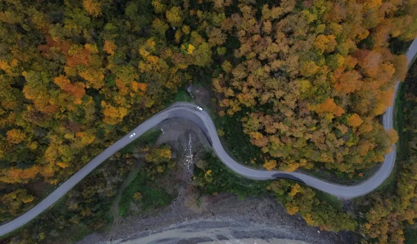 Karadeniz'de sonbahar tüm renkleriyle yaşanıyor